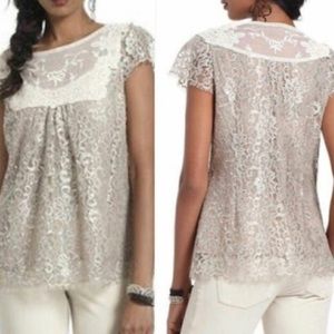 ANTHROPOLOGIE HD Paris 2 Silver Metalic Lace Lined